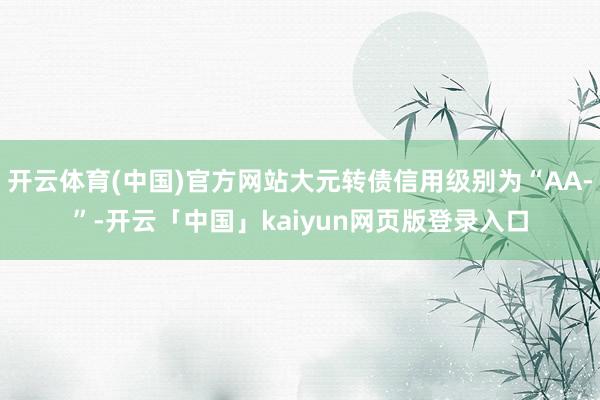 开云体育(中国)官方网站大元转债信用级别为“AA-”-开云「中国」kaiyun网页版登录入口