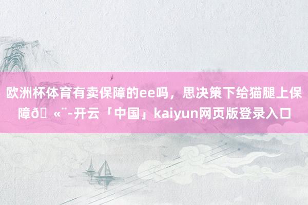 欧洲杯体育有卖保障的ee吗，思决策下给猫腿上保障🫨-开云「中国」kaiyun网页版登录入口